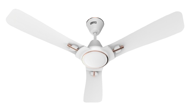 WhatsApp_Image_2026-04-06_at_5.05.58_PM-removebg-preview