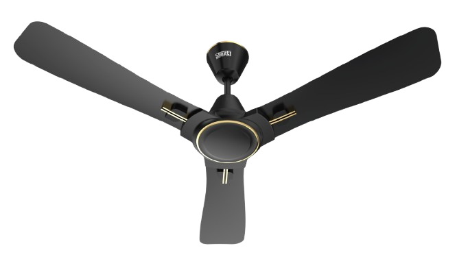 WhatsApp_Image_2026-04-06_at_5.05.58_PM__1_-removebg-preview