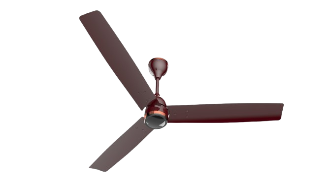 WhatsApp_Image_2026-04-06_at_5.06.12_PM-removebg-preview (1)