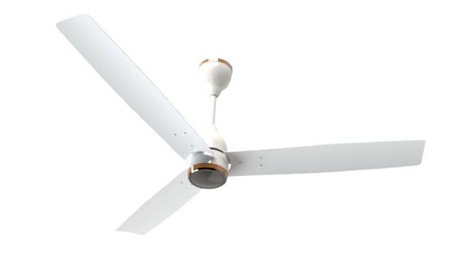 WhatsApp_Image_2026-04-06_at_5.06.12_PM__1_-removebg-preview